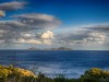 Kamelia-View