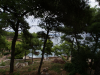 Maria Studios View