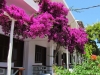 Paradise Hotel