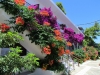 Paradise Hotel