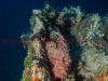 Scuba Diving