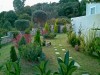 Villa Calma Garden-area