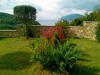 Villa Calma Garden