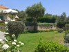 Garden-lawn
