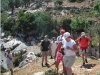 Walking
