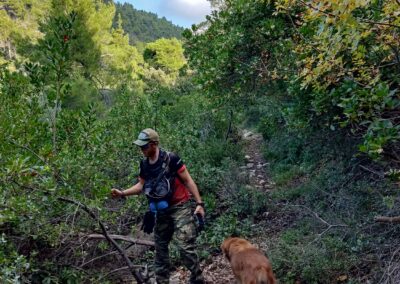 Vathi to rema, megali ammos, hiking, walking, alonissos, albedo travel