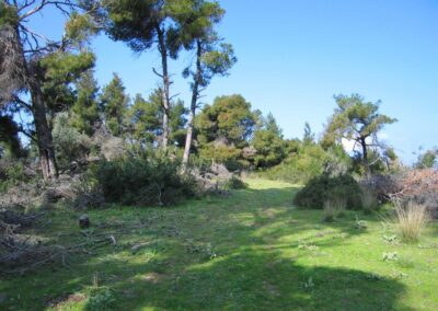tsoukalia, spartines, alonissos, hiking, walking, albedo travel
