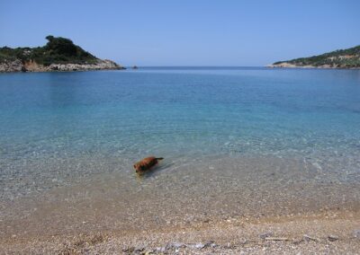 Vathi to rema, megali ammos, hiking, walking, alonissos, albedo travel