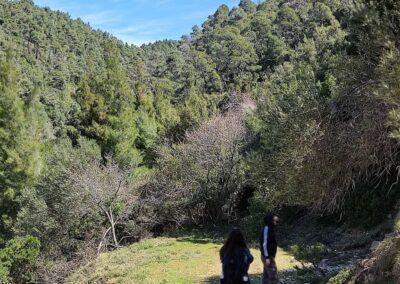 Vathi to rema, megali ammos, hiking, walking, alonissos, albedo travel